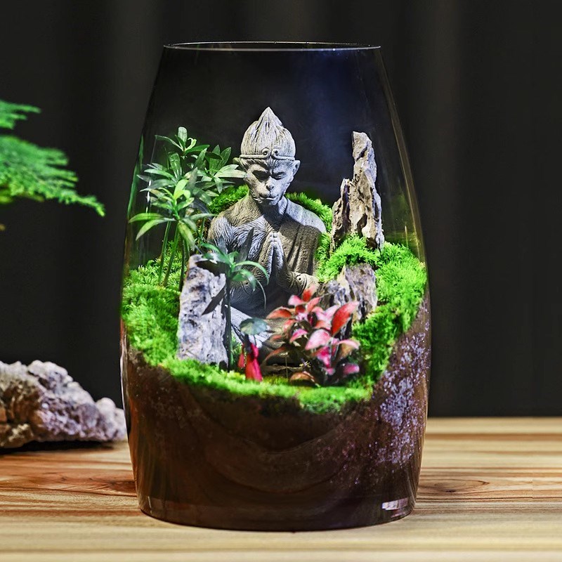 水培生态瓶创意微景鱼缸观桌面盆栽办公室绿O植客厅苔藓微景观盆