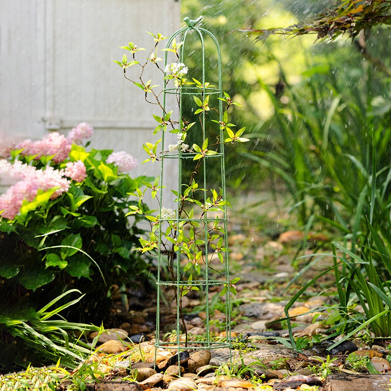户外铁艺爬藤架月季铁线莲花x盆支架阳台种菜园艺支撑杆防倒伏花