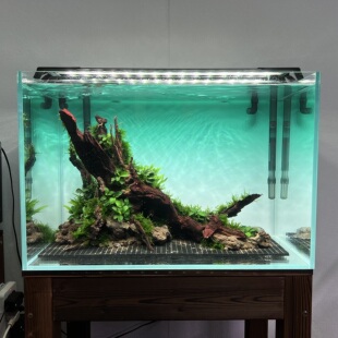 60CM鱼缸造景生命之树造景草缸造景鱼缸造景套餐成品生态造景摆件