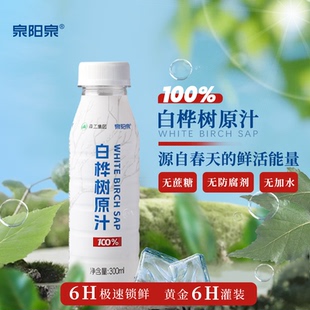 白桦树汁300ml 泉阳泉长白山天然矿泉饮用水组合装 12瓶 600