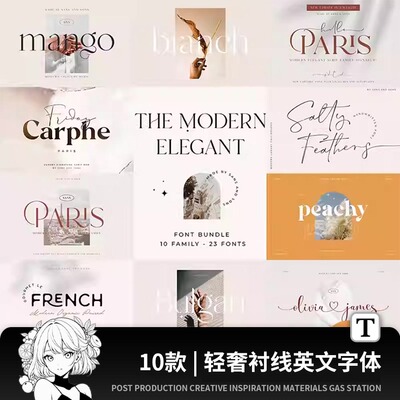 极简时尚轻奢优雅精致品牌logo杂志排版PS手写衬线英文字体素材包