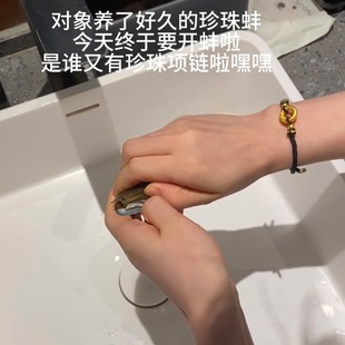 贝壳开蚌珍珠活蚌自己开盲盒易拉罐河蚌diy吊坠项链礼盒淡水情侣