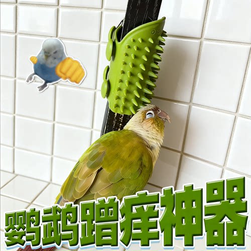 蹭痒神器！鹦鹉玩具解闷自嗨桌腿绑带固定挠痒按摩啃咬刮毛小玩具
