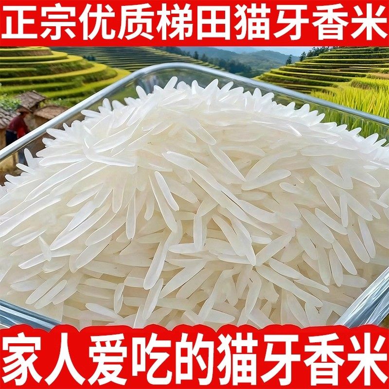 农家生态猫牙米象牙米长粒新米