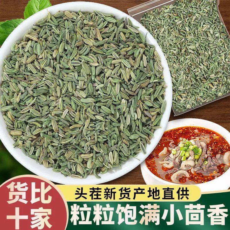 小茴香新鲜日晒小茴香优质新货小茴香家用小茴香调料食用商用