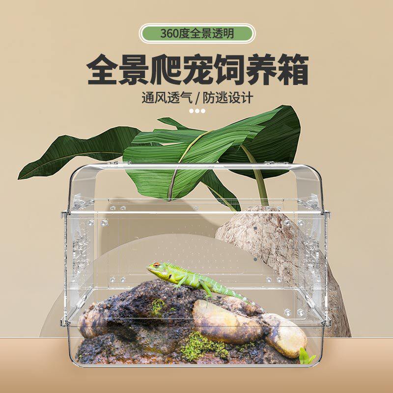 30爬宠饲养箱亚克力蜥蜴守宫蝎子乌龟寄居蟹全透明爬虫造景生态缸