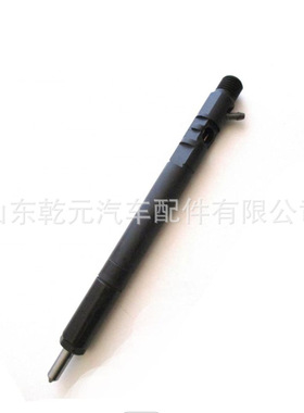 全新共轨喷油器总成  EJBR02401Z  33800-4X800