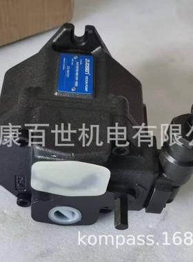 电动柱塞泵  AR16FR01BK10Y-1005油泵 液压泵台湾ZUOSEN铸铁