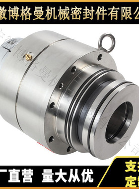 2VSF-40 2VSF-45 2VSF-55 吸收塔侧式搅拌器机械密封