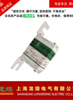 快速熔断器170M1320 AC690V200A，银片熔芯，上海龙熔电气
