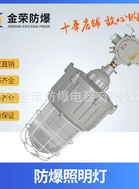 BAD82隔爆型防爆灯仓库停车场用LED节能灯户外防水路灯