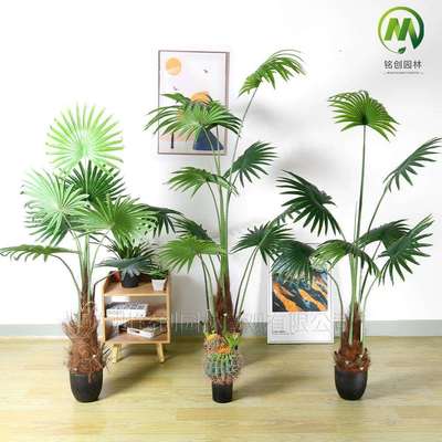 广州高端手感叶加州葵盘栽仿真蒲葵超真大型盘景唐棕葵扇葵