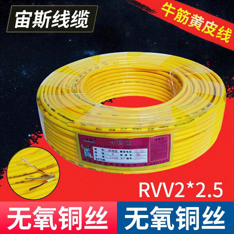 家用电源线RVV2*1.5平方绝缘牛筋线电线 铜芯户外埋线电缆护套线