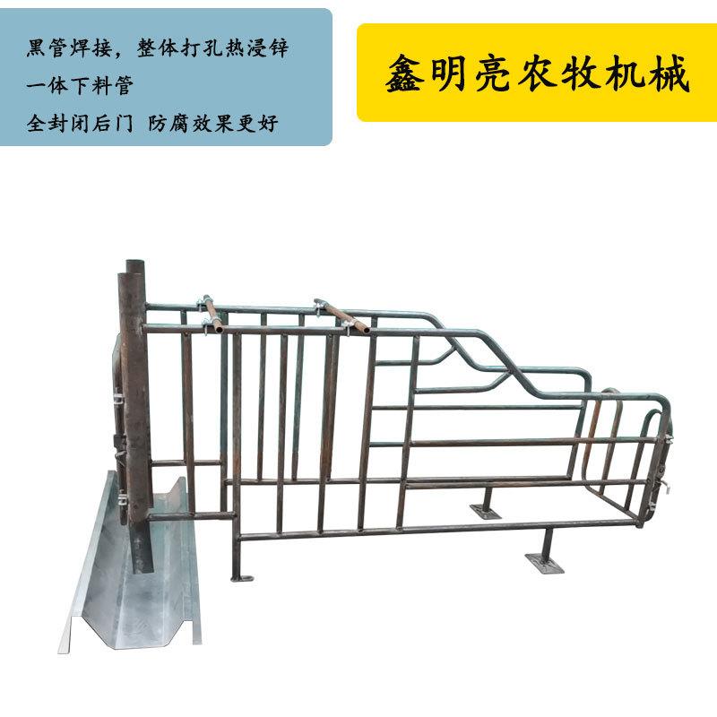 直销热镀锌母猪限位栏定位栏黑管热浸锌限位栏提供栏位