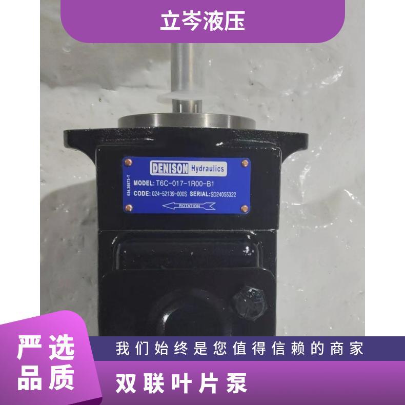 丹尼逊油泵双联叶片泵T6C-005 B05-1L01-A1 DENISON液压泵
