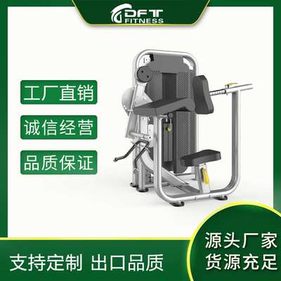 DFT-1690健身房企事业单位用二头肌三头肌训练器商用健身器材