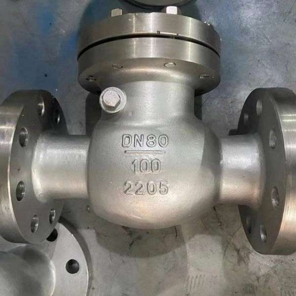 靖镜阀门H44W-16/25/40V双相不锈钢法兰旋启式止回阀耐腐蚀脱盐硫