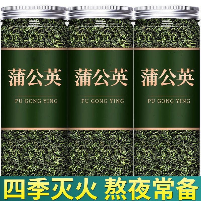 精选蒲公英茶根叶中药材新鲜散结