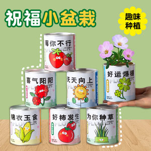 儿童罐头创意小盆栽礼物栽培桌面迷你绿植草莓向日葵种植种子盲盒