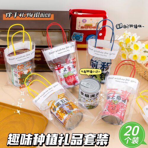 新款手提袋种植罐头儿童老师六一节日礼物盲盒玩具活动赠品小礼品