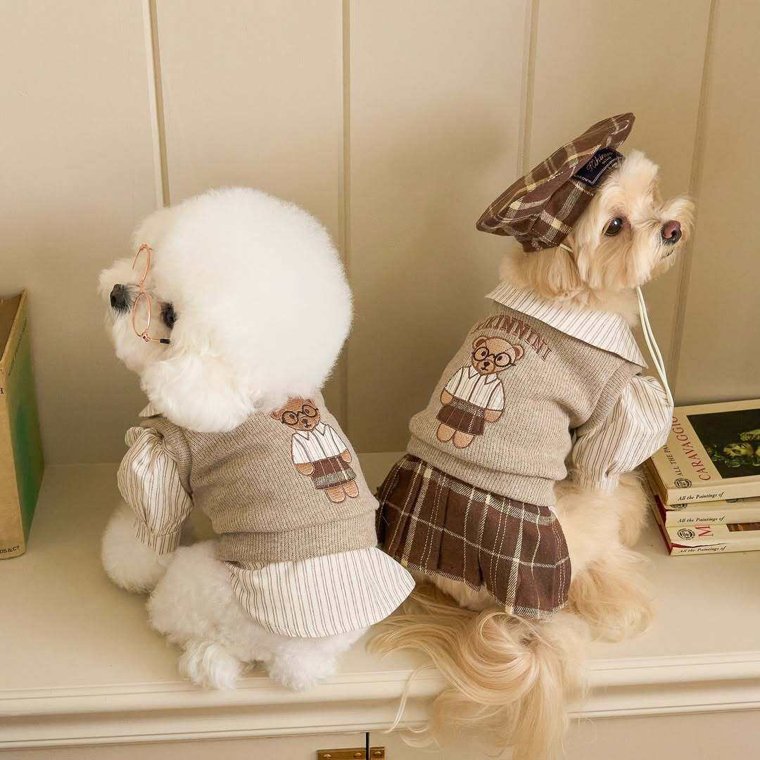秋冬季狗狗衣服日韩学院风可爱小狗宠物服装/雨衣