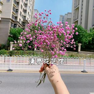 饰摆件永生花生日礼物干花 满天星鲜花花束勿忘我家居摆设客厅装