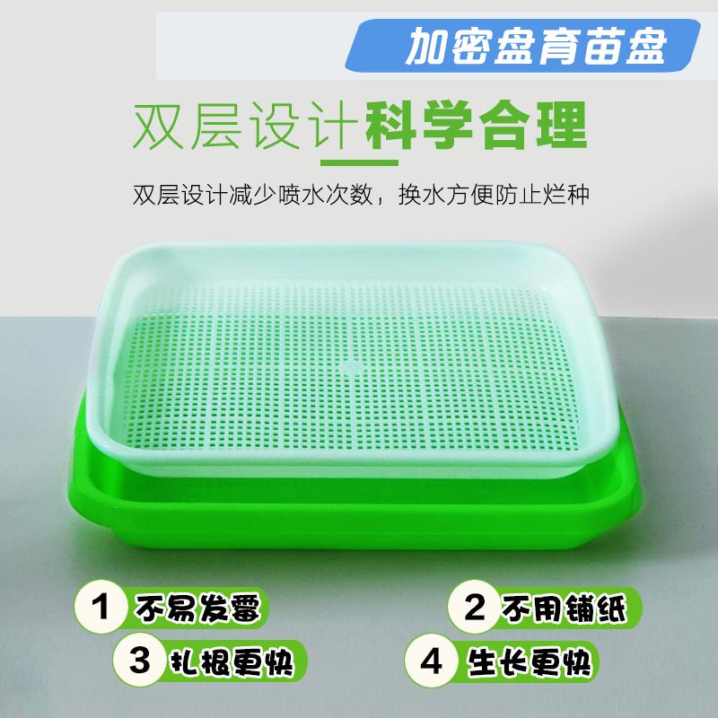 极速无土栽培芽苗菜水培菜阳台y种菜水培蔬菜水培芽苗菜家庭种菜