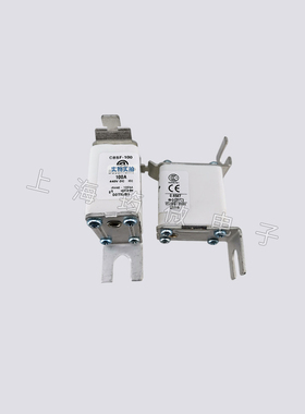 极速供全新保d险丝 底座 熔芯 系列产品GBSF-100 欢迎咨询 低价销