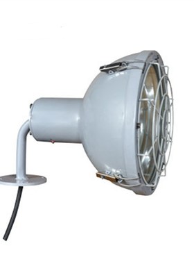 极速船用灯具 投光m灯户外防水照明 TG2-W带网罩  投光灯