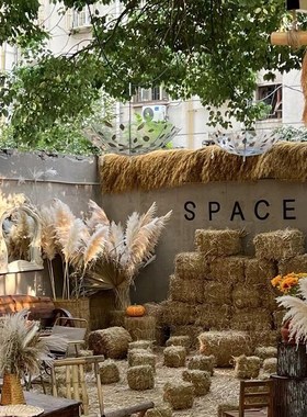 极速秋季美陈主题氛围场景布置芦苇干花落地摆件装饰Y品网红打卡