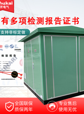 极速户外欧式美式10-35KV箱式变电站成套景观配电房63W0kva箱式变
