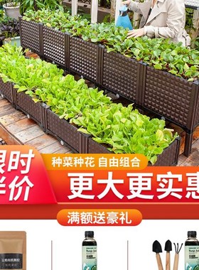 极速Balcony vegetable rack inydoor special box three-dimensi