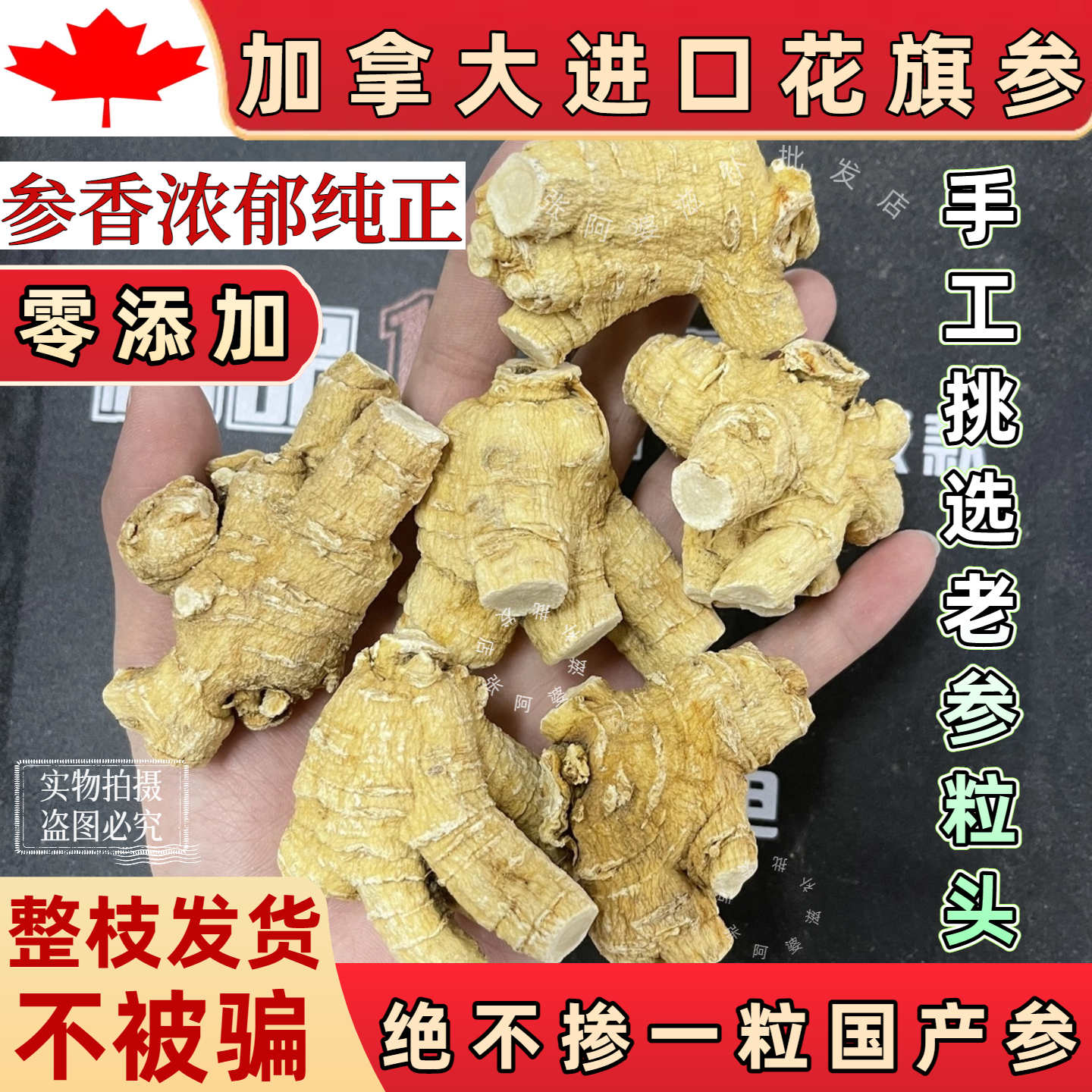 加拿大进口西洋参粒头特级500克整枝原丛正品花旗参含片粉
