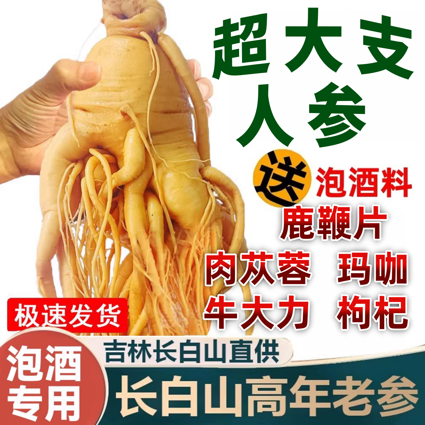 人参中药材泡酒专用长白山人参东北特产鲜人参野山参林下参