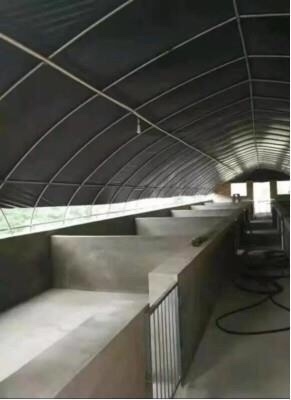 极速简殖大棚钢管种架鸡鸭鹅猪牛羊D椭圆E管温室骨植养易连栋棚薄