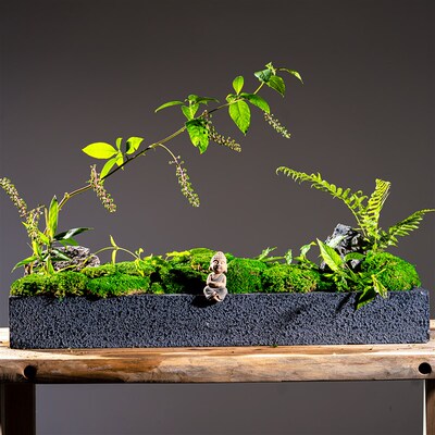 新品永生真苔藓仿真青苔植毛人造草E皮造景假绿植绿色草坪装饰植