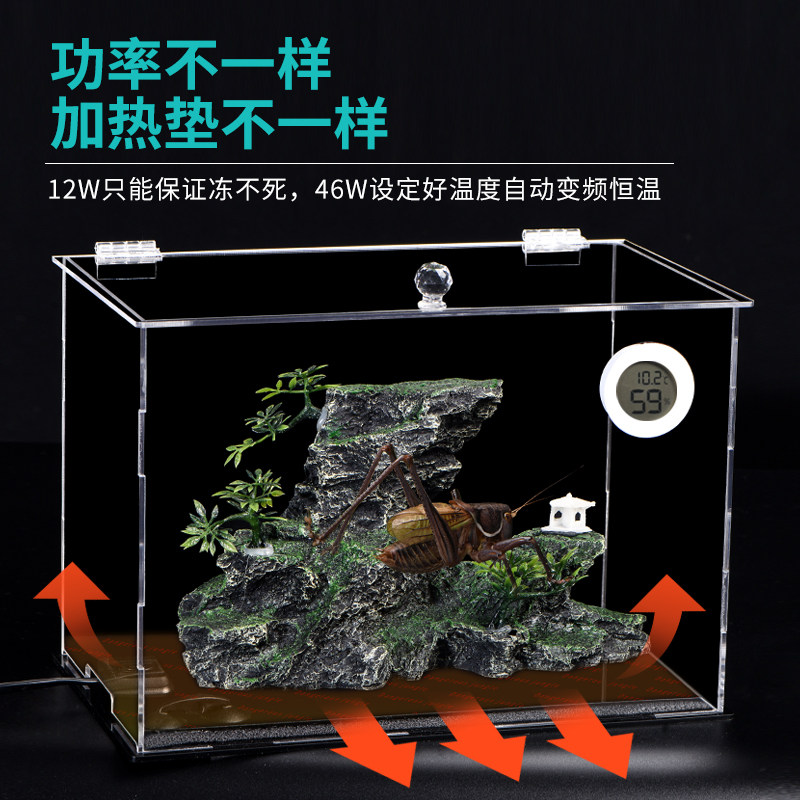 极速蝈蝈宠物保温箱爬宠饲养箱刺猬蜥蜴陆龟角O蛙爬虫箱pvc守宫生,宠物/宠物食品及用品,爬宠缸/箱,淘宝优惠券,粉丝福利购,淘宝优惠卷