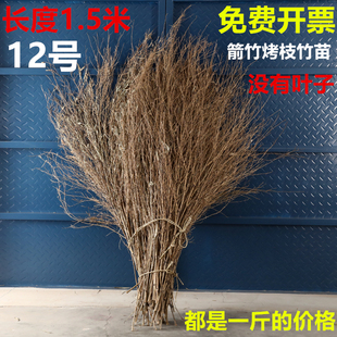 极速竹枝子扫把竹苗竹叶子竹枝z竹子竹条扫把头竹竹子头条装饰摆