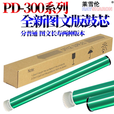 极速RS适用奔图PD-300鼓芯P3405 3255 3505G P3105DN 3205DN DL 3
