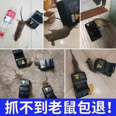 新品Splindt rat killer commercial restaurant rat trap mouse