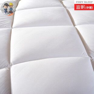 极速Winter Quilt Thick 3kg Warm Silk QuiKlt Core Quilt House