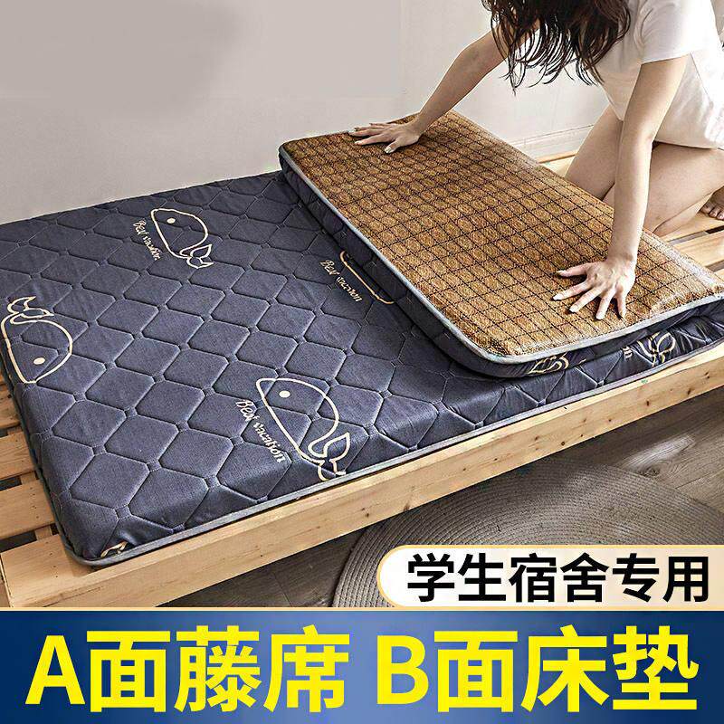 极速床垫学生e宿舍单人夏季软垫子家用海绵租房专用薄款地铺睡垫