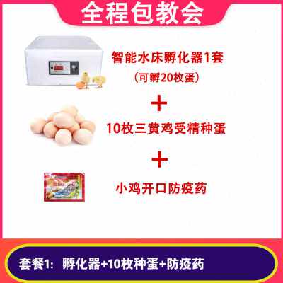 极速爆品迷你小型家用水床孵化z器全套送种蛋1J0枚可孵化小鸡学生