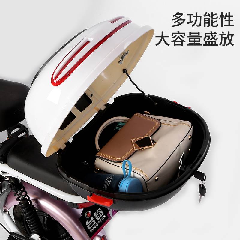 极速新国标电动自行车防雨后备z箱支架电瓶车防盗尾箱靠背改装尾