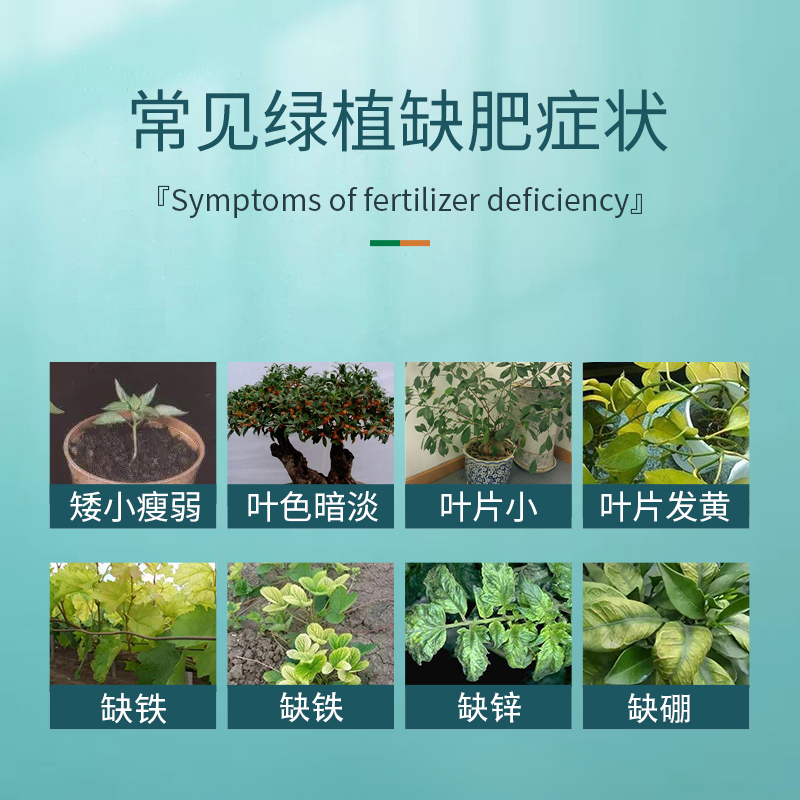 极速国光滋慕螯合铁微量元素肥氨基F酸通用叶面肥水溶肥料一喷绿