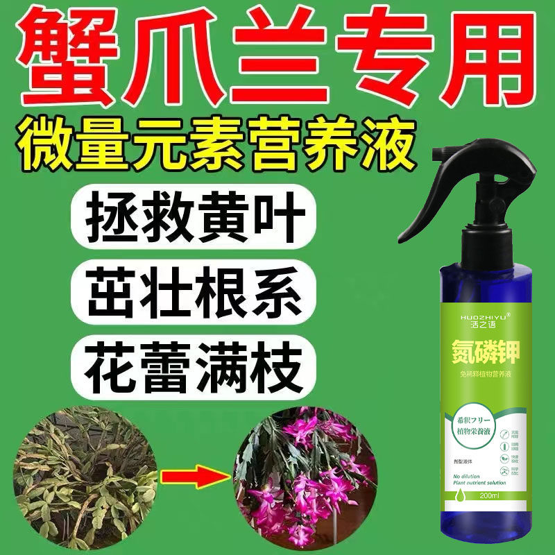 极速蟹爪兰专用肥k促进开花缓释肥复合氮磷钾肥花肥磷酸二氢钾肥