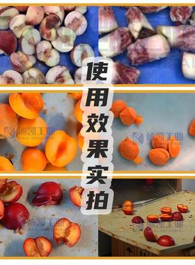 罐头工黄桃加去切皮去核瓣 毛桃VOF杏去核分瓣设备机 李子油桃去