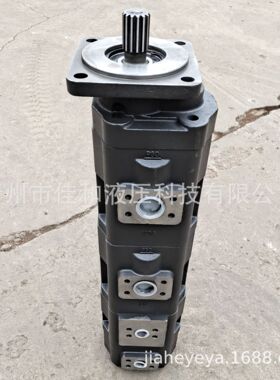 1010000136四联齿轮泵   JHP2080/2063/2040/GJ1010