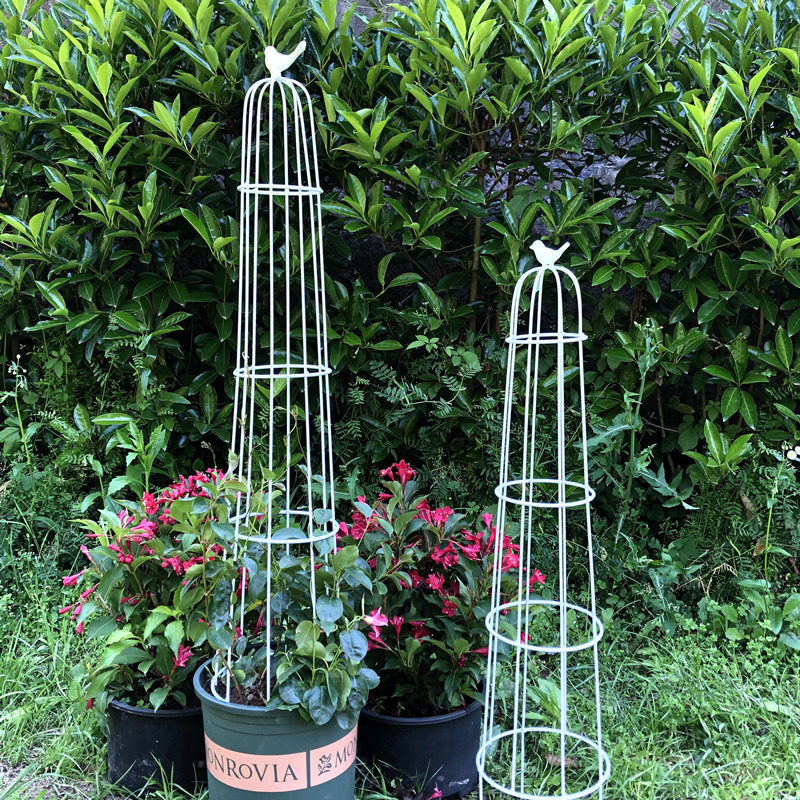 花艺架子花园球兰月季花架铁线莲爬藤架植物支架杆铁艺小鸟笼庭院图片
