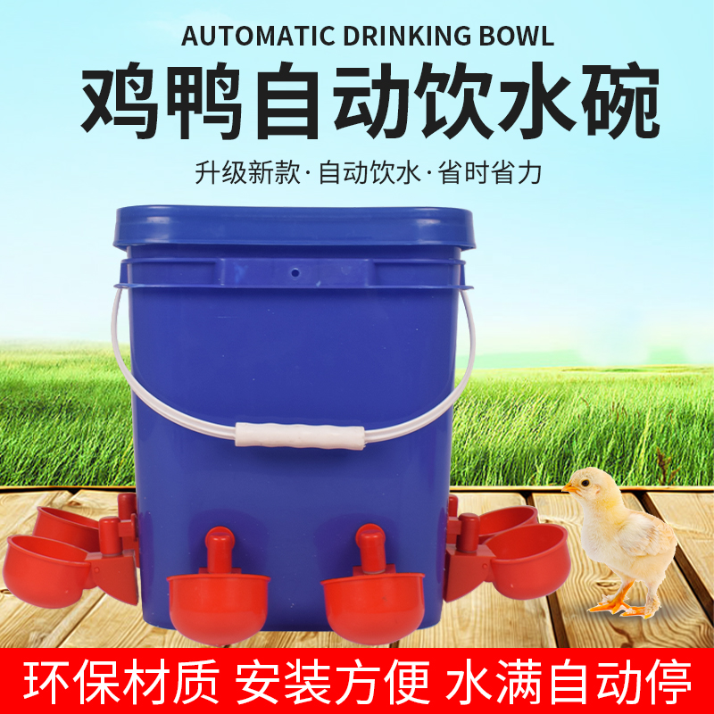 小鸡喝水自动饮水器喂水器鸡用水碗喝水器家禽用养殖鸭鹅鸽子神器